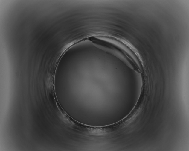 X0000085760945200703231151