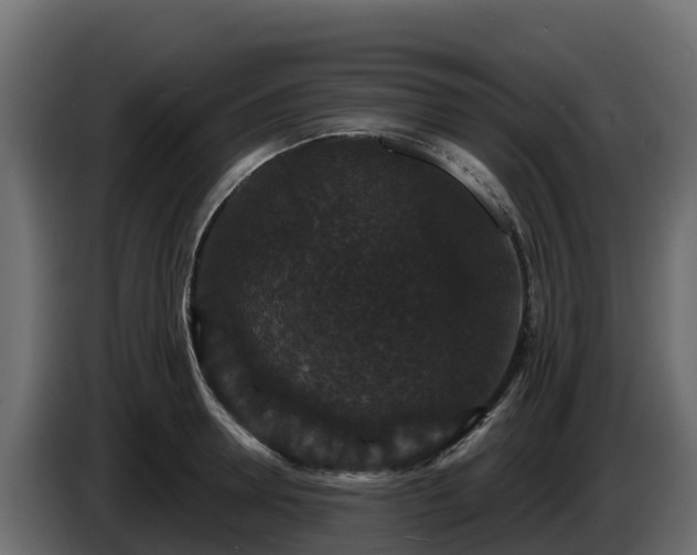 X0000085760946200703231151