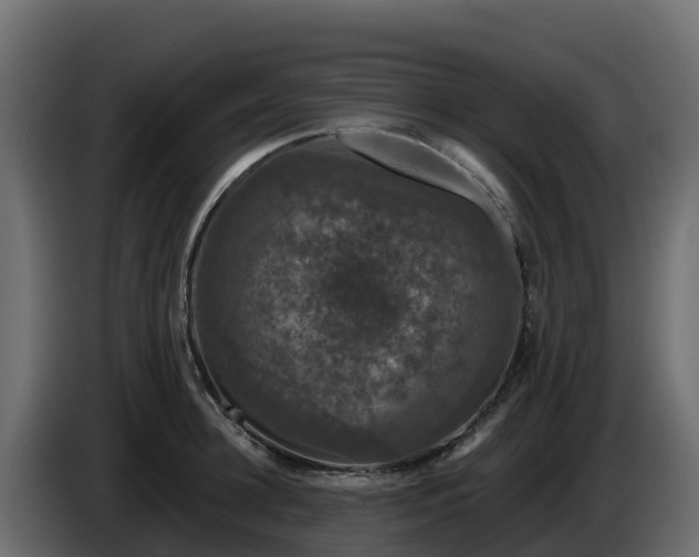 X0000085760948200703231151