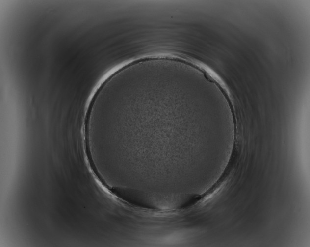 X0000085760951200703231151