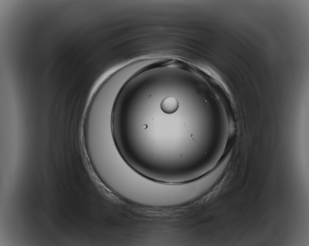 X0000085760952200703231151