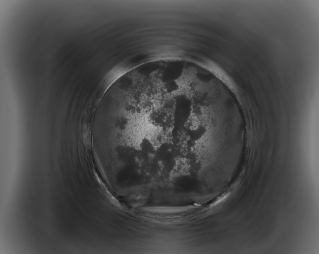 X0000085760953200703231151
