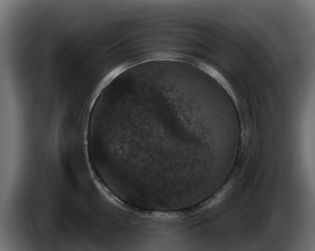 X0000085760954200703231151