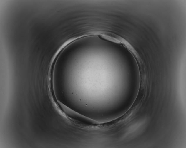 X0000085760955200703231151