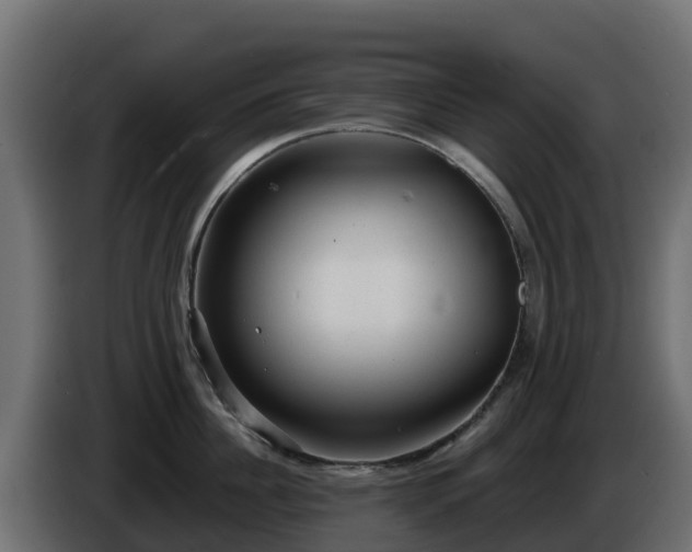 X0000085760956200703231151