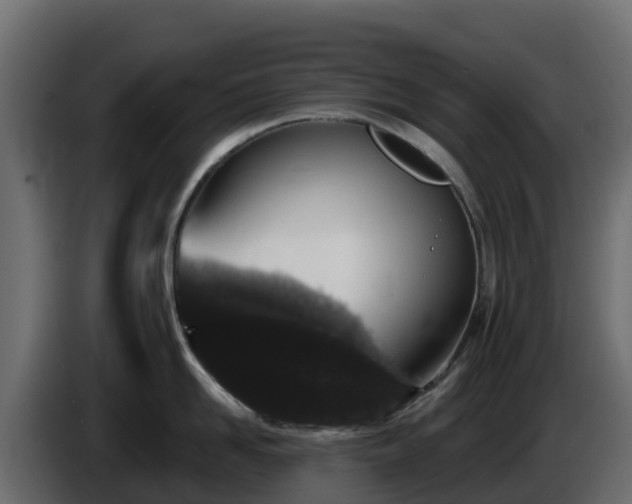 X0000085760958200703231151