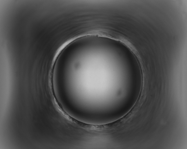 X0000085760960200703231152