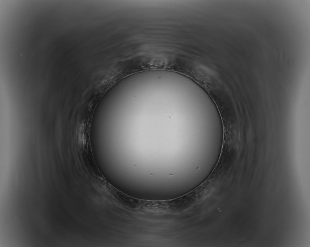 X0000085760962200703231151