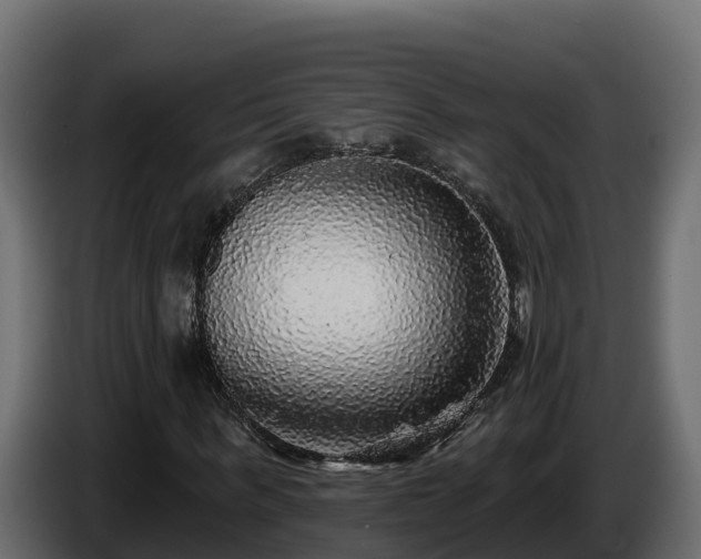 X0000085760963200703231151