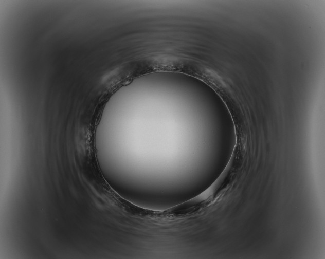 X0000085760964200703231151