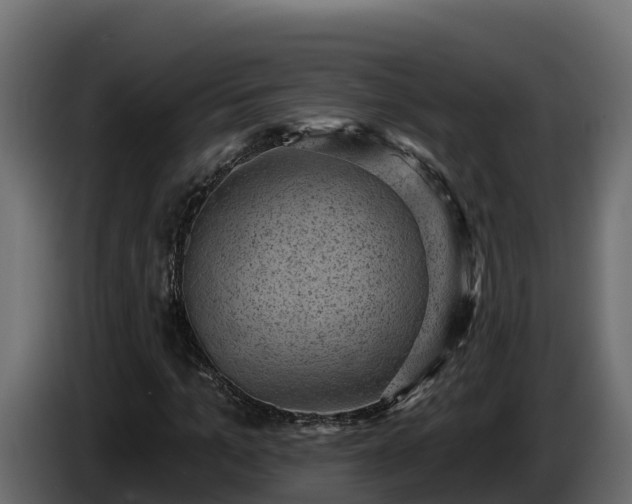 X0000085760965200703231151