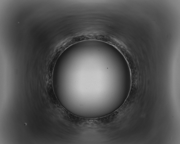 X0000085760966200703231151