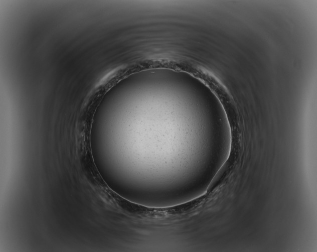X0000085760968200703231151