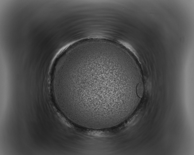 X0000085760971200703231151