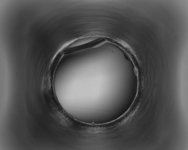 X0000085760973200703231151