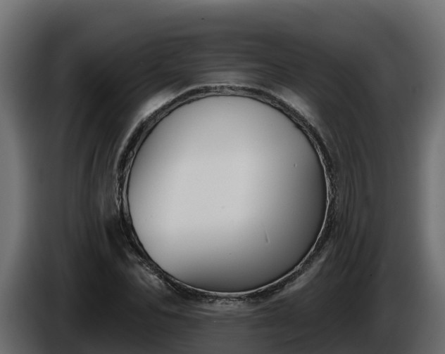 X0000085760974200703231151