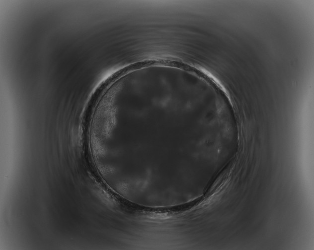 X0000085760975200703231151