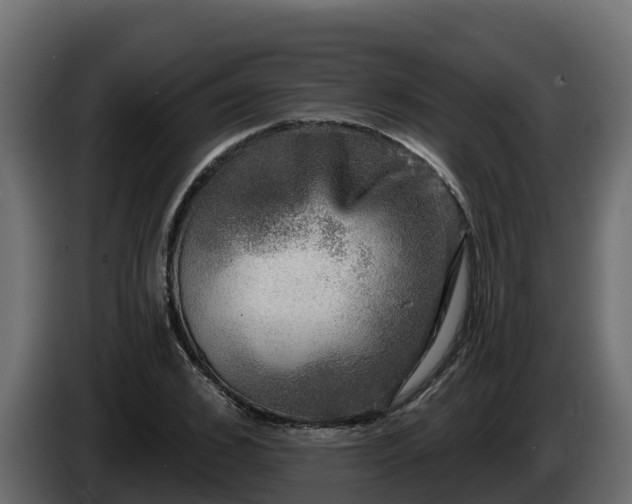X0000085760976200703231151