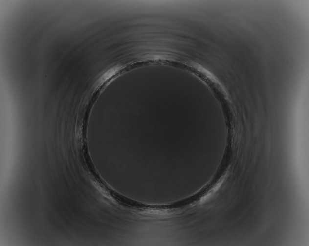 X0000085760977200703231151
