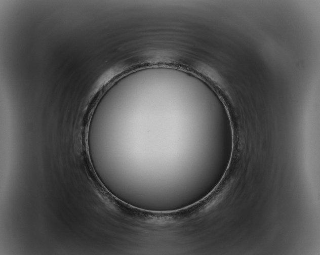 X0000085760978200703231151