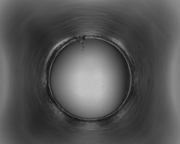 X0000085760979200703231151