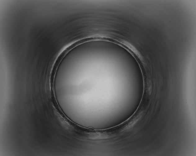 X0000085760980200703231151