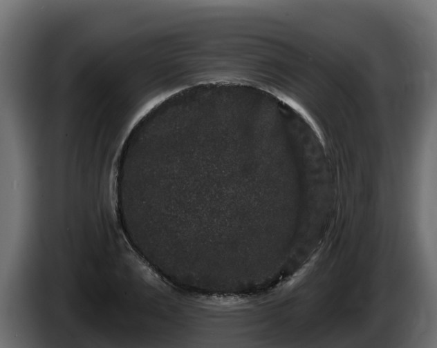 X0000085760983200703231151