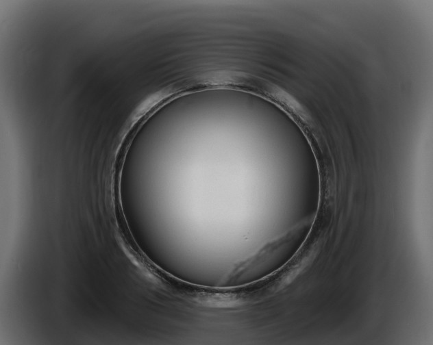 X0000085760986200703231150