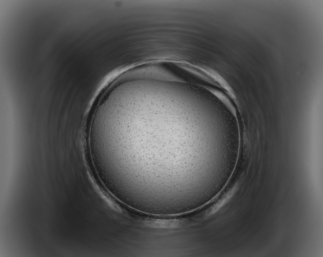 X0000085760989200703231150