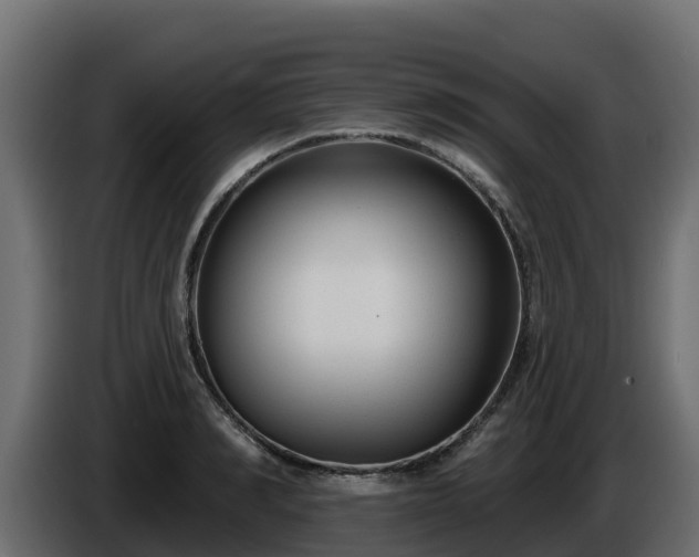 X0000085760990200703231150