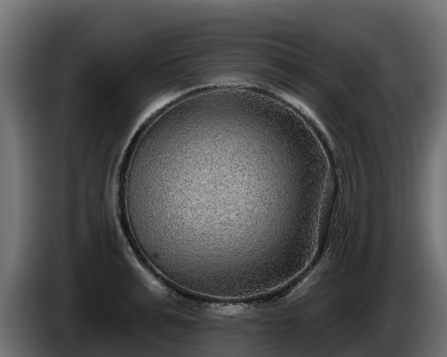 X0000085760991200703231150