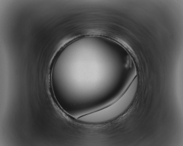 X0000085760992200703231150