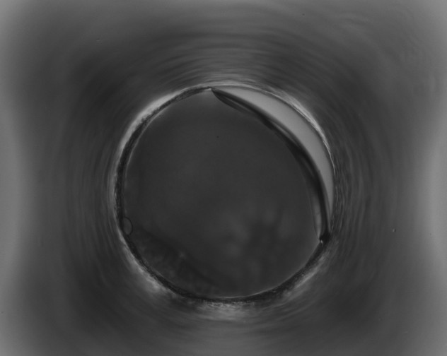 X0000085760995200703231150