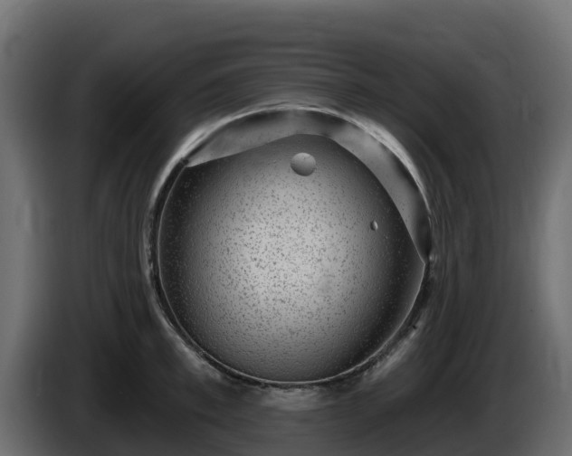 X0000085760997200703231150