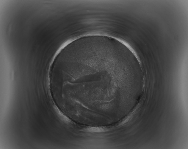 X0000085760998200703231150