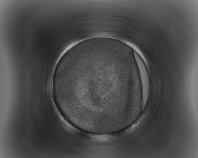 X0000085760999200703231150