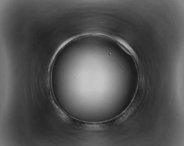 X0000085761004200703231150