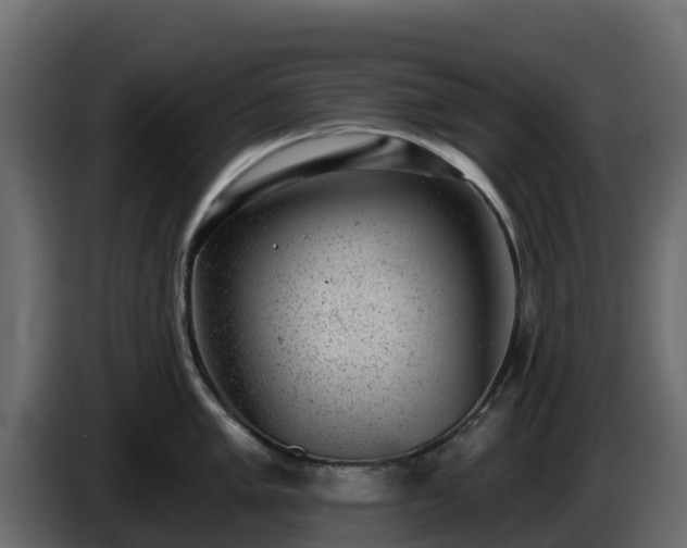 X0000085761005200703231150