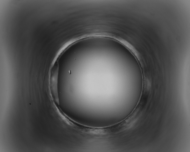 X0000085761006200703231150