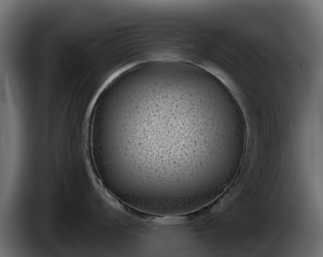 X0000085761008200703231150