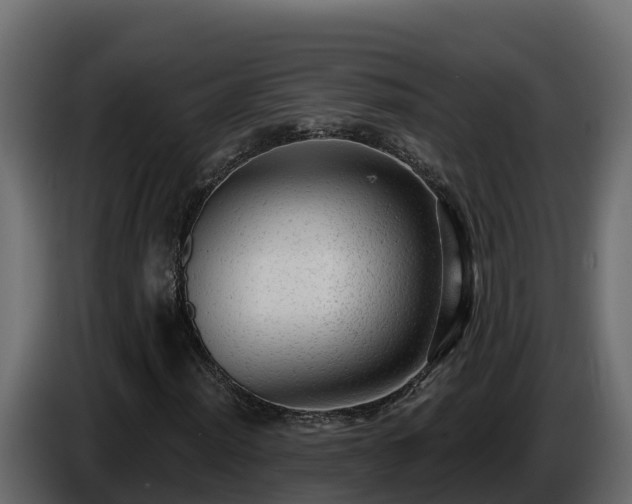 X0000085761012200703231150