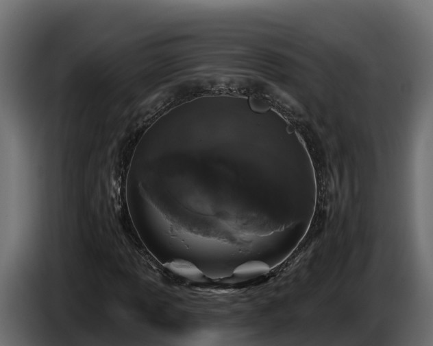 X0000085761013200703231150
