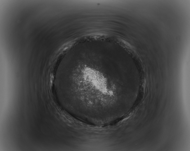 X0000085761014200703231150