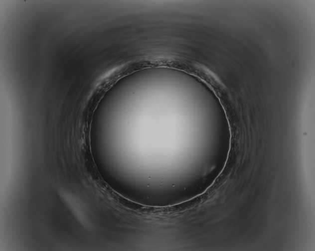 X0000085761016200703231150