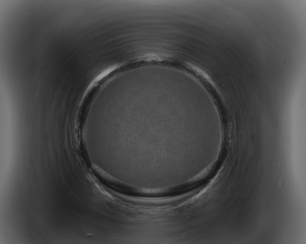 X0000085761018200703231150