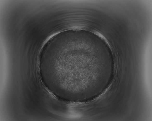 X0000085761019200703231150