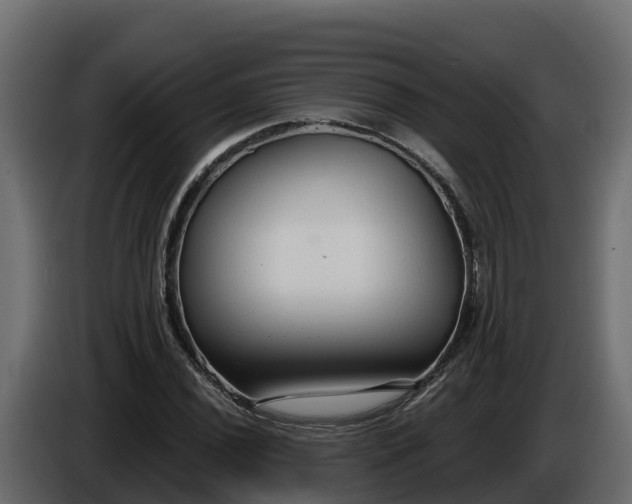 X0000085761020200703231150