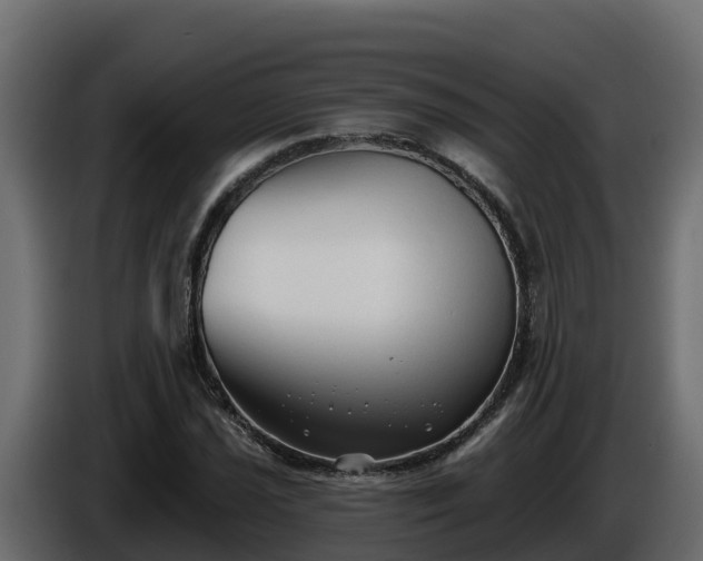 X0000085761021200703231150