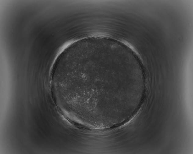 X0000085761022200703231150
