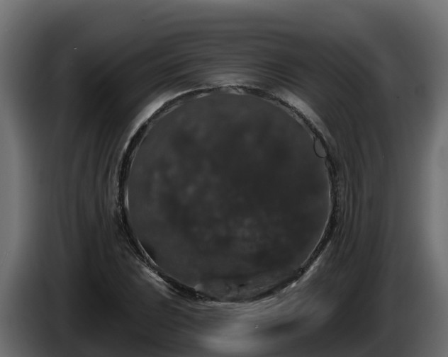 X0000085761023200703231150